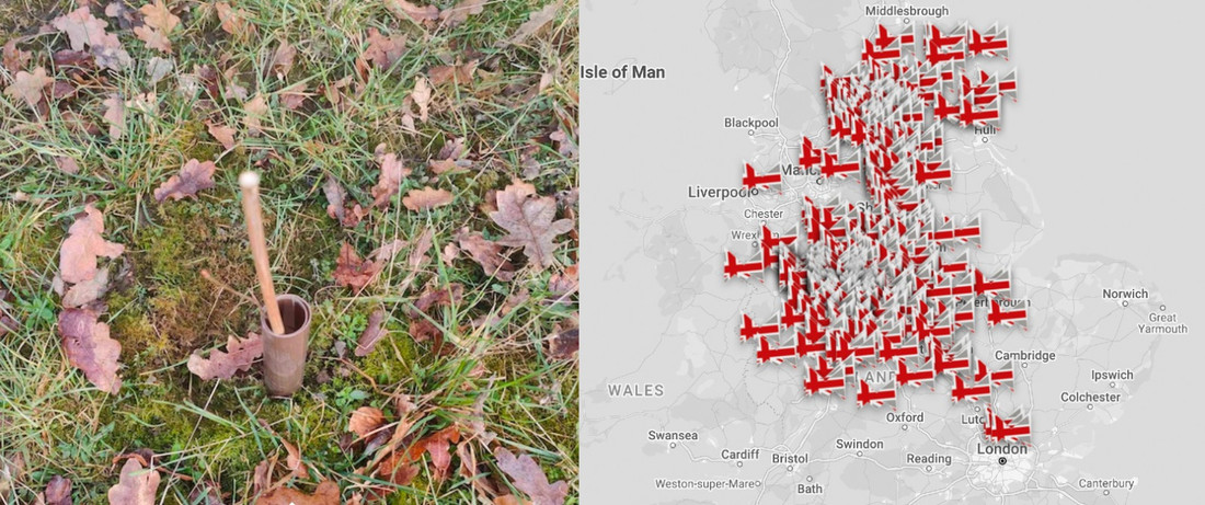 Invicta is part of UK-wide tree planting initiative